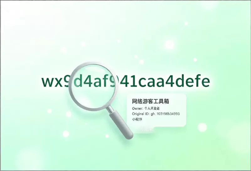 微信AppID解析,把API做成了skill,不会写代码也能用